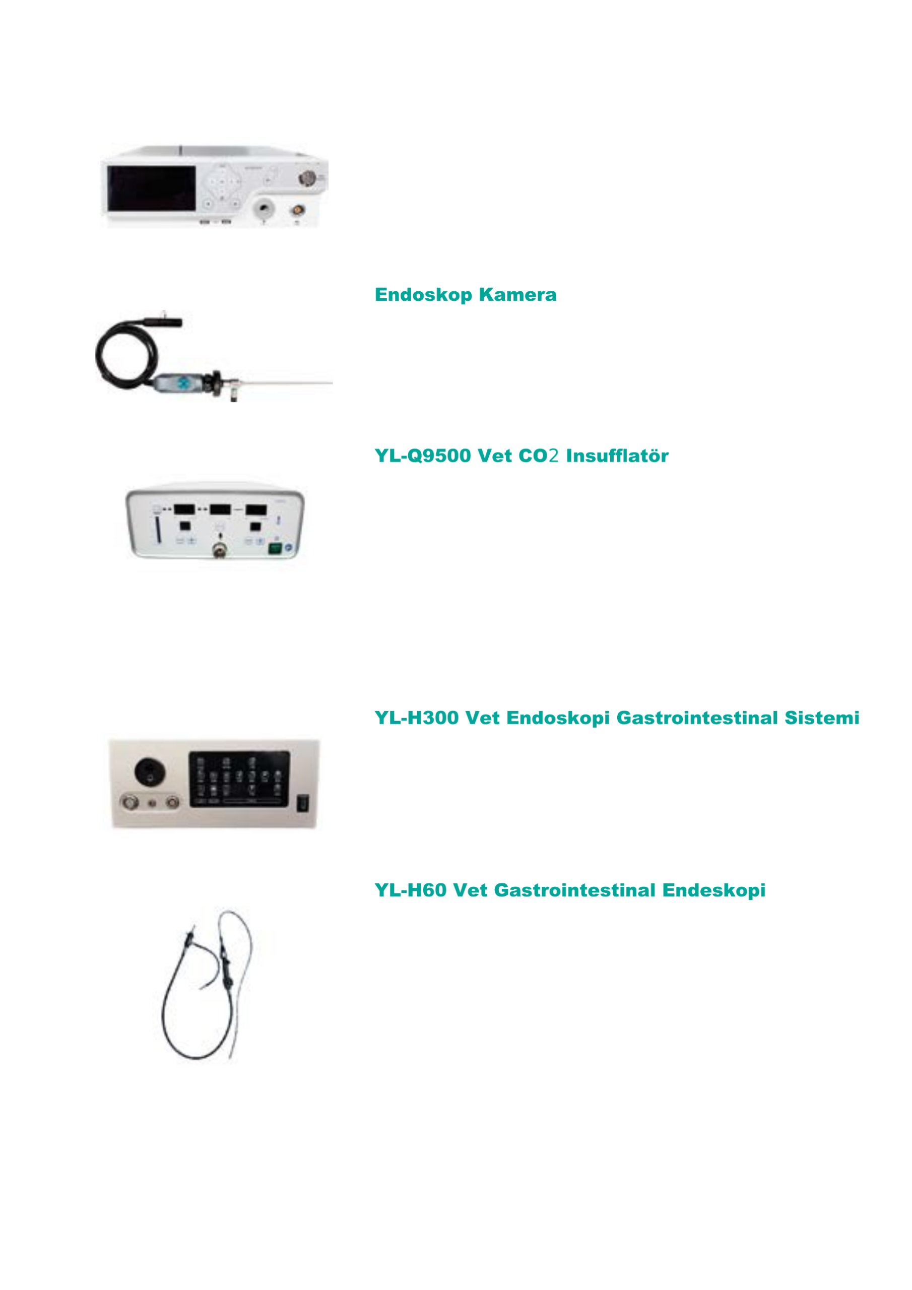 YL-9500 Vet Endoskopi Görüntüleme Sistemi