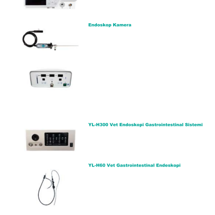 YL-Q9500 Vet CO2 Insufflatör
