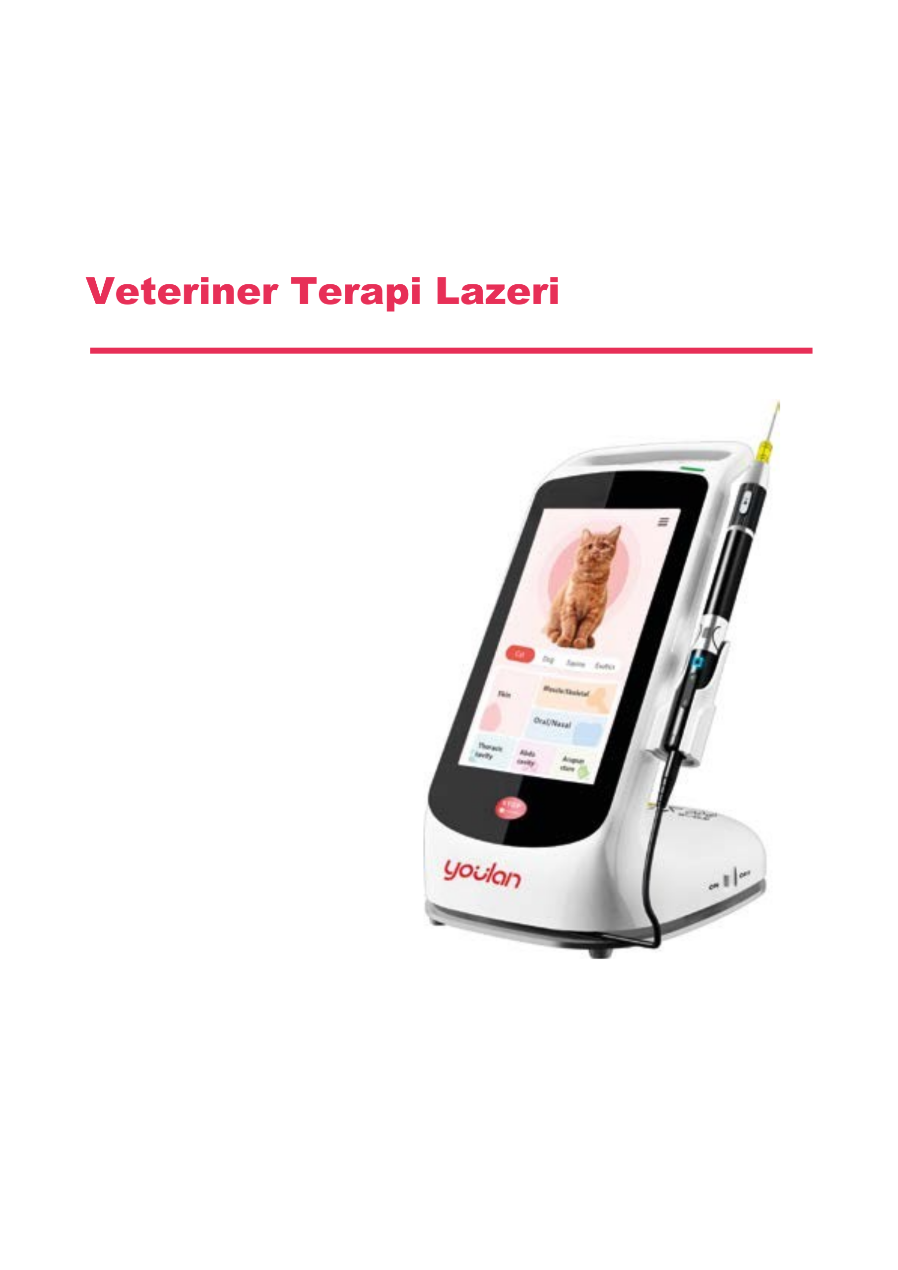 YLT-15 Vet Terapi Lazeri